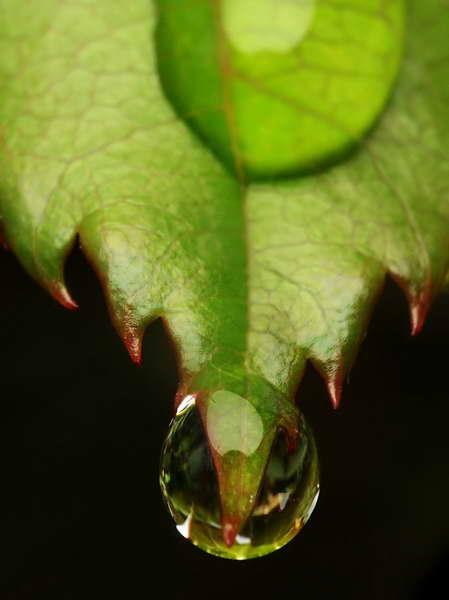 gouttes de pluie-07.jpg